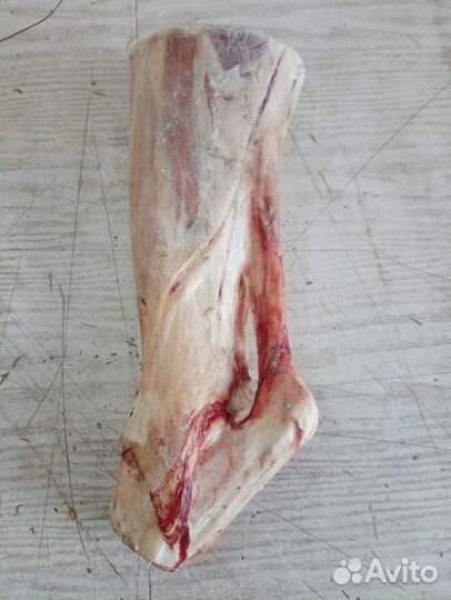 Мясо оленина