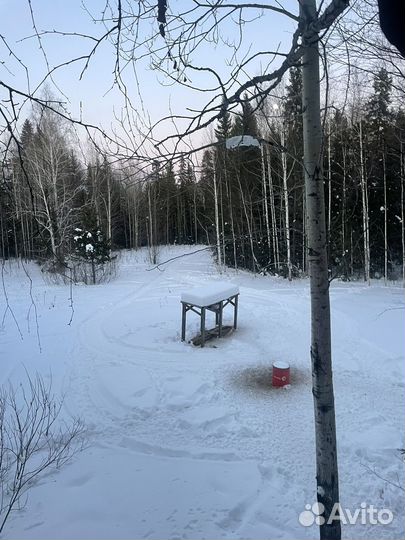 Охотничий тур