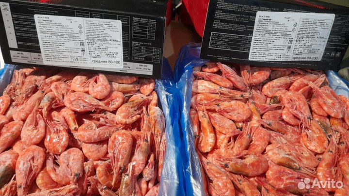 Креветка магаданская