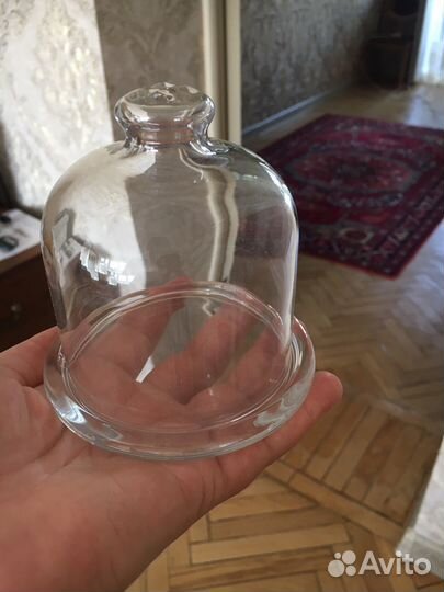 Лимонница