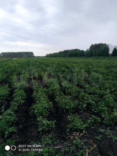 Участок 4,85 га (СНТ, ДНП)