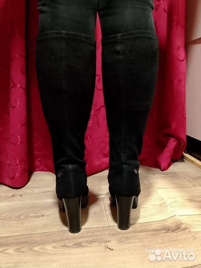 Сапоги женские демисезонные замшевые