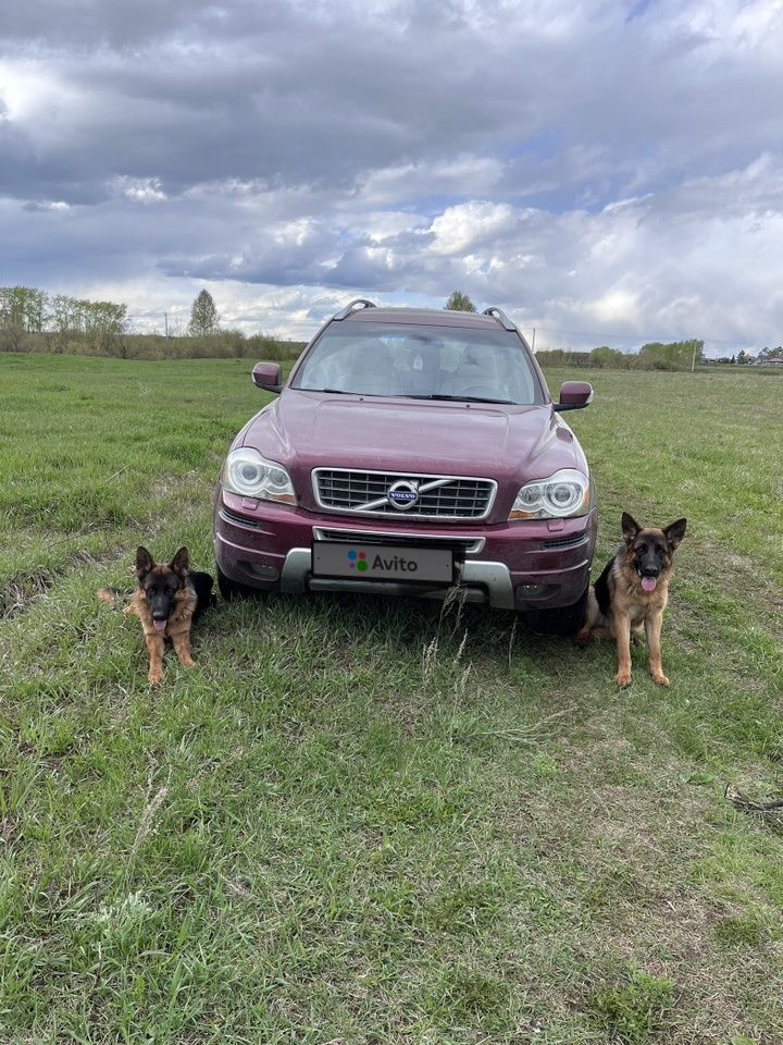 Volvo XC90: фото владельца
