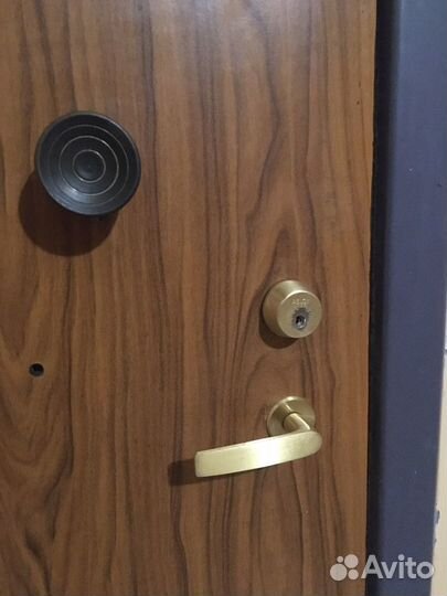 Дверь входная металлическая (бронированная)