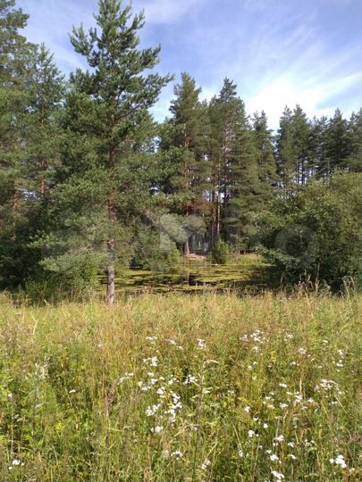 Участок 2,13 га (СНТ, ДНП)