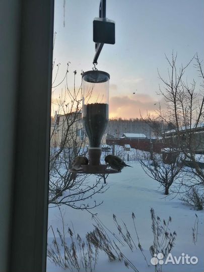 Кормушка для птиц