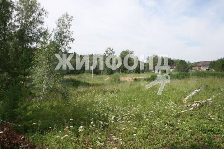 Участок 21 сот. (СНТ, ДНП)