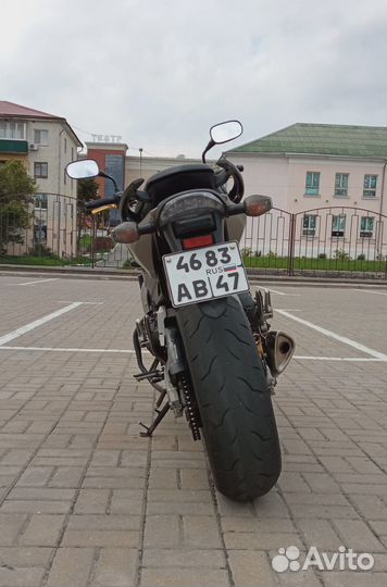 Hornet