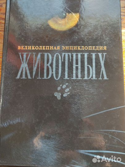 Энциклопедии для детей и не только