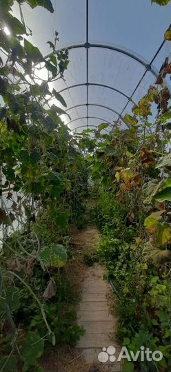 Теплицы из поликарбоната