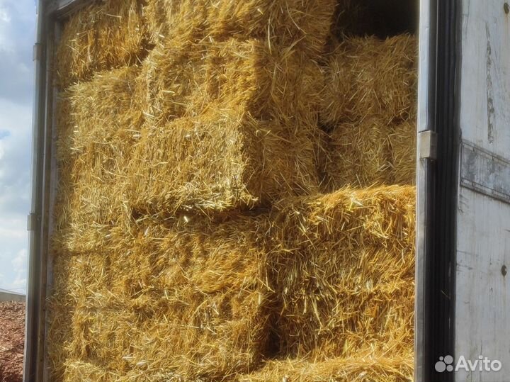 Солома в тюках с доставкой