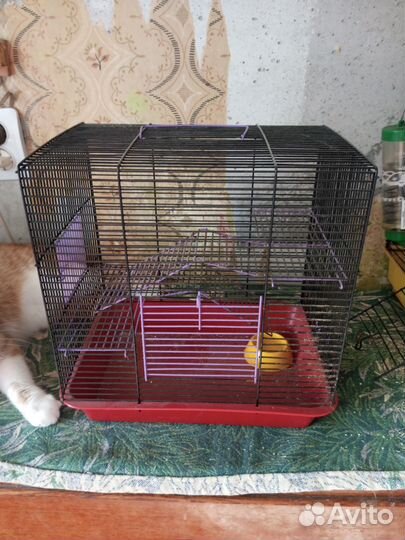 Клетка для грызунов
