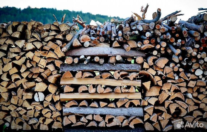 Дрова в баню