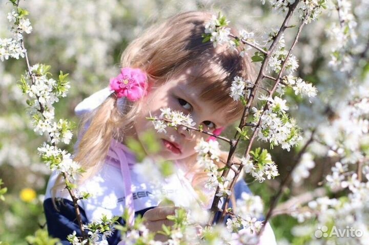 Фотоуслуги