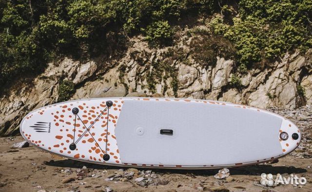 Sup Board Shark Windsurf 10