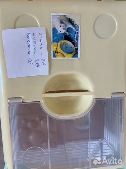 Клетка для джунгарика