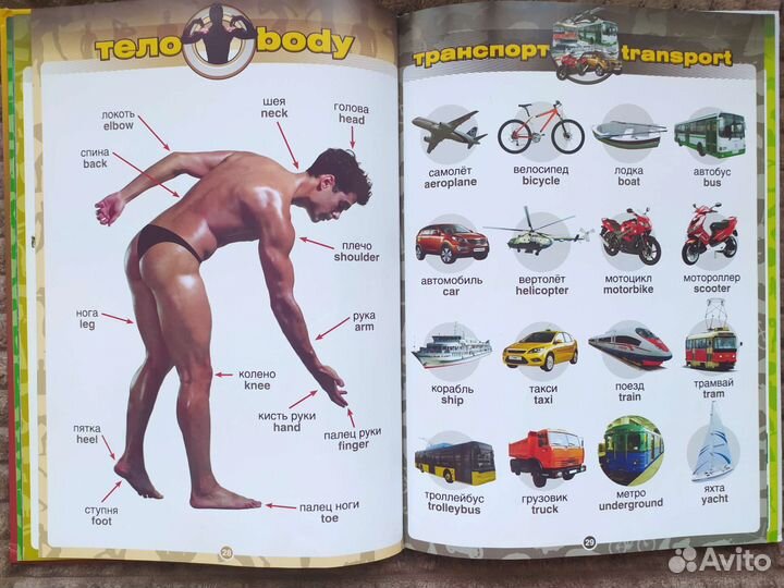 Говорящий словарь англ.-русск. Знаток