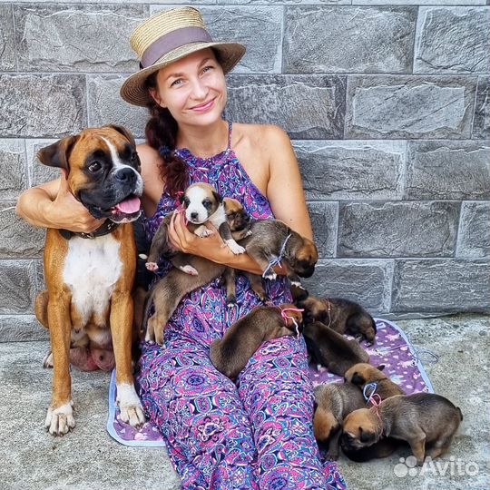 Отдаём щенков