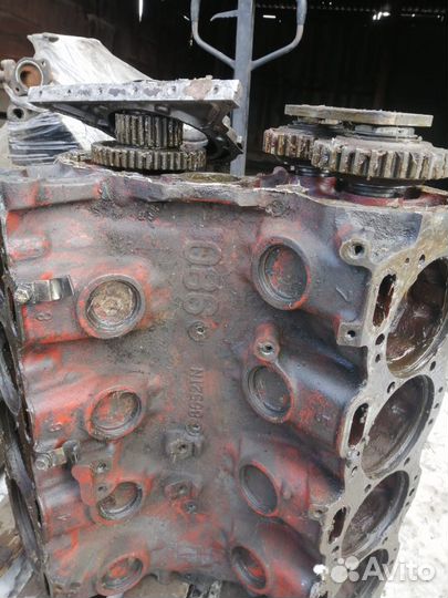 Двигатель isuzu 8PD1