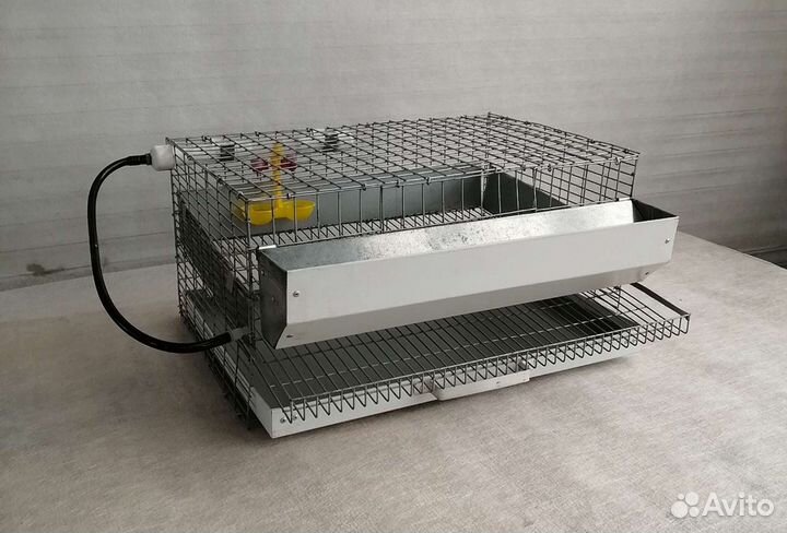 Клетки для перепелов