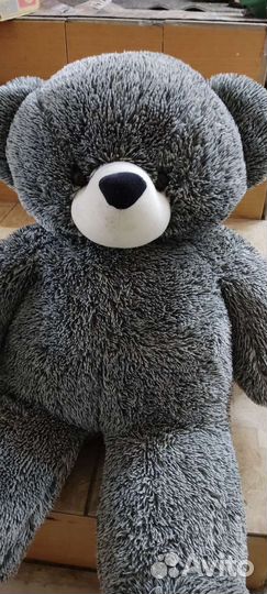 Плюшевый медведь