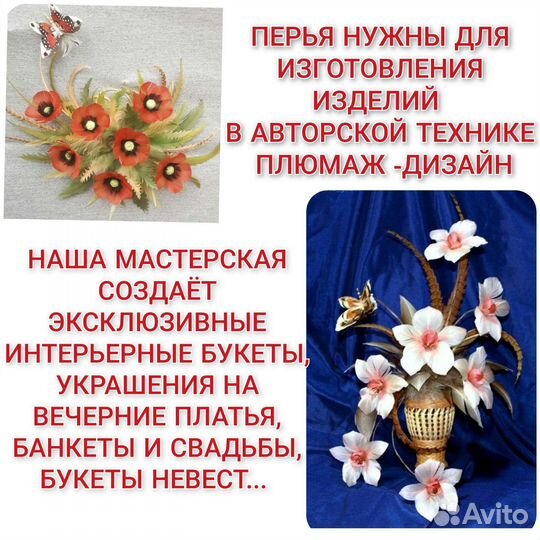 Покупка перьев птиц