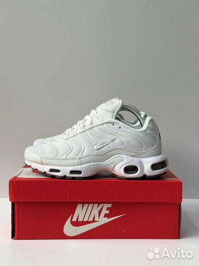 Кроссовки Nike air max tn plus