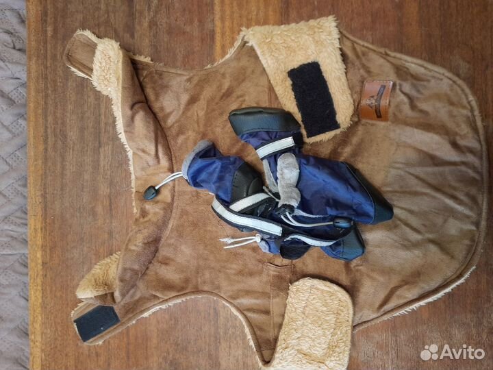 Одежда для собак