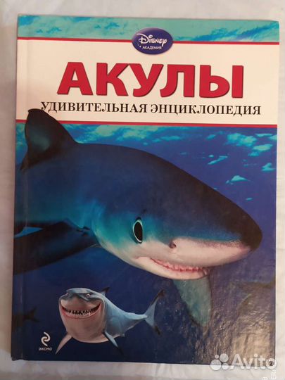 Детская литература