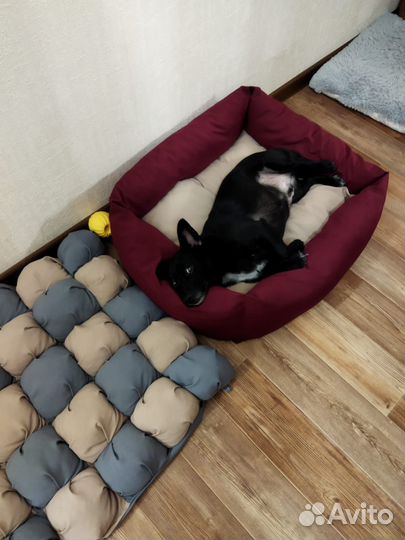 Лежанка для животных
