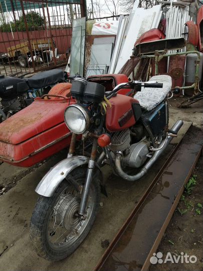 Иж ява муравей