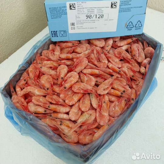 Креветка северная