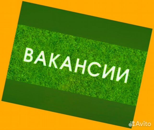 Кладовщик без опыта Еженедельные выплаты Одежда