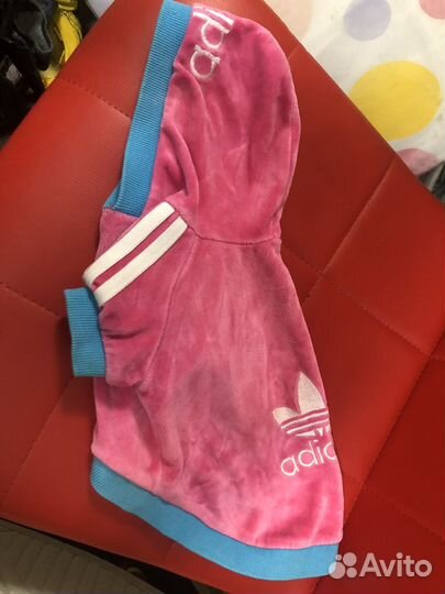 Одежда для собак мелких пород