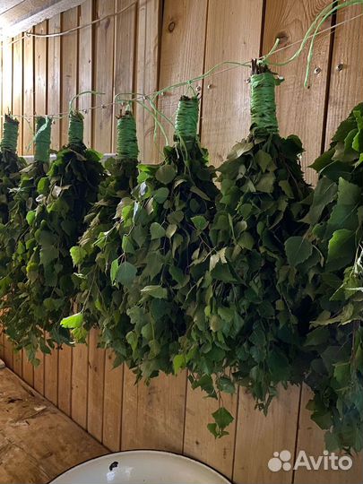 Березовые веники