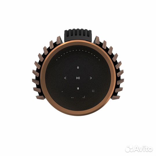 Bang & Olufsen BeoLab 28 Bronze Tone/Wood