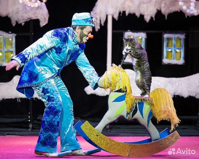 Билеты в Цирк