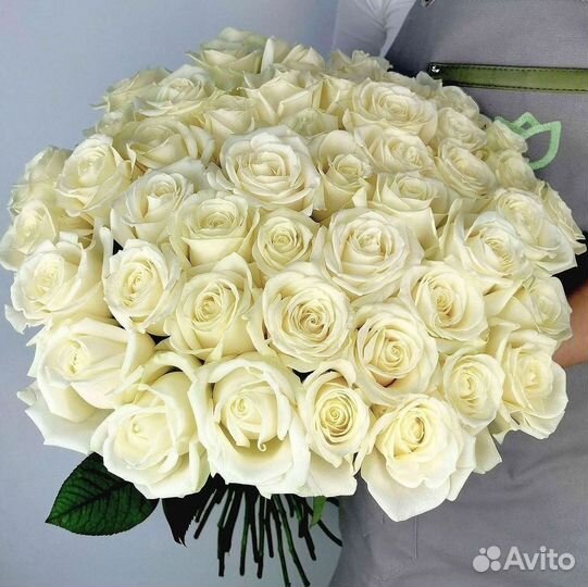 Цветы розы букеты 25 31 35 51 101 251 Доставка