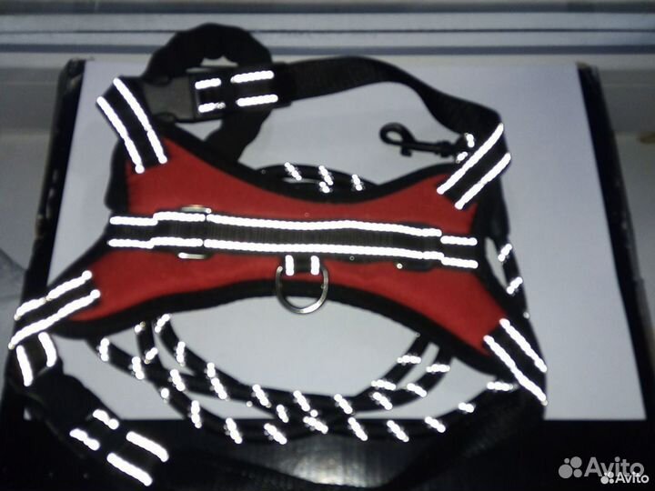 Шлейка и поводок для собаки