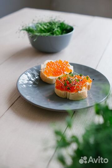 Икра красная кеты