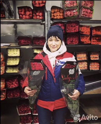 Цветы оптом розы Эквадор премиум