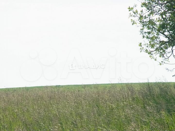 Участок 3,88 га (СНТ, ДНП)
