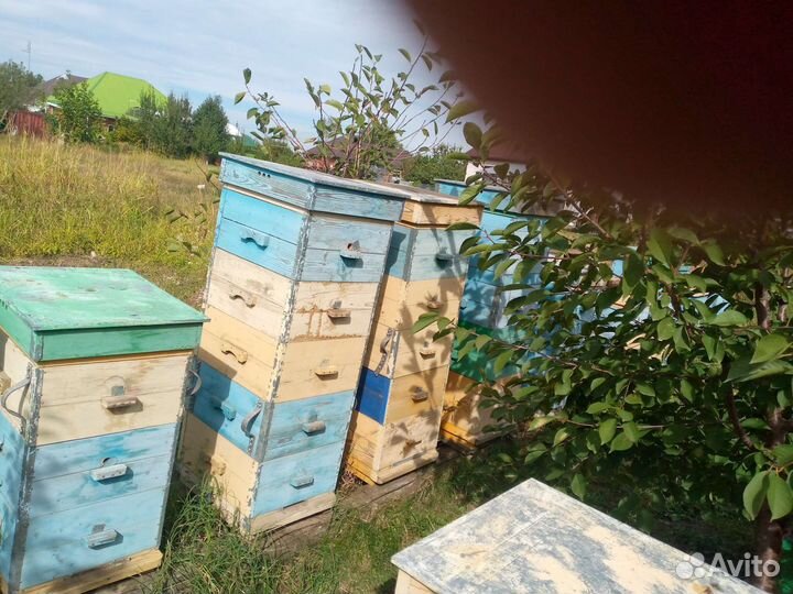 Ульи 10 штук