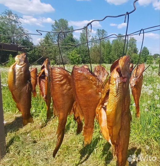 Рыба горячего копчения