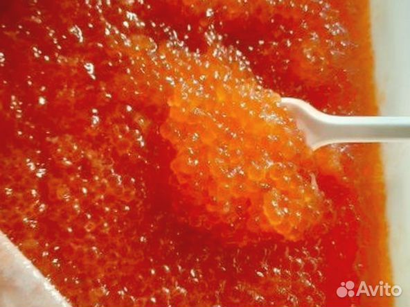 Красная икра 2024