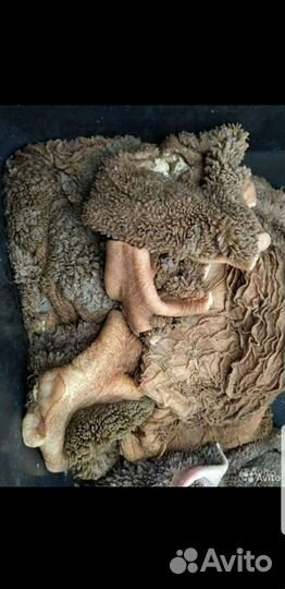 Рубец говяжий