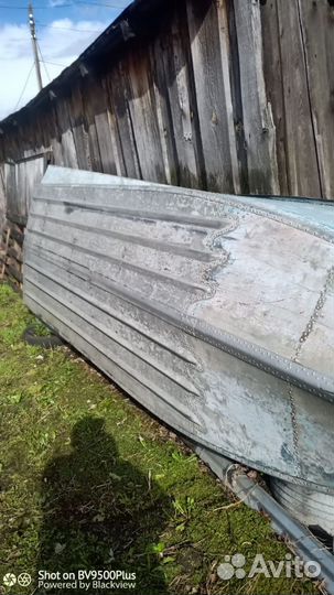 Продам южанку