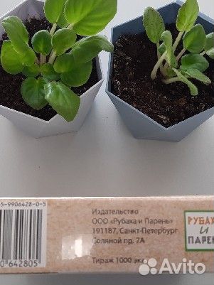 Настольная экологическая игра Ecologic новая