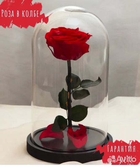 Розы в колбе (в наличии)