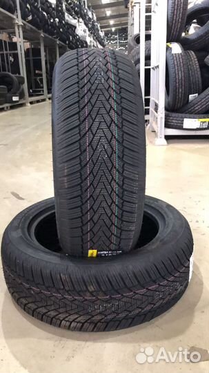 Roadmarch Winter XPro 888 195/50 R15 82V